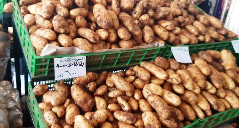 السورية للتجارة تبيع كيلو البطاطا بـ 600 ليرة في السويداء