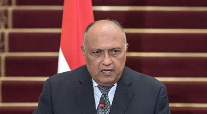 وزير الخارجية المصرية سامح شكري
