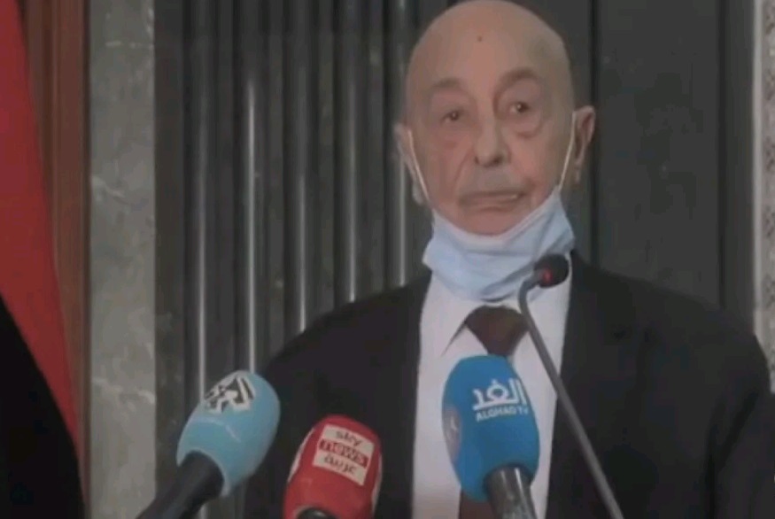 عقيلة صالح يرى إجراء الانتخابات الليبية ممكن وفق مسودة الدستور الحالية