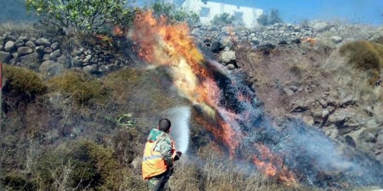 حرائق سوريا تعود إلى الواجهة في مختلف محافظات المنطقة الوسطى والغربية